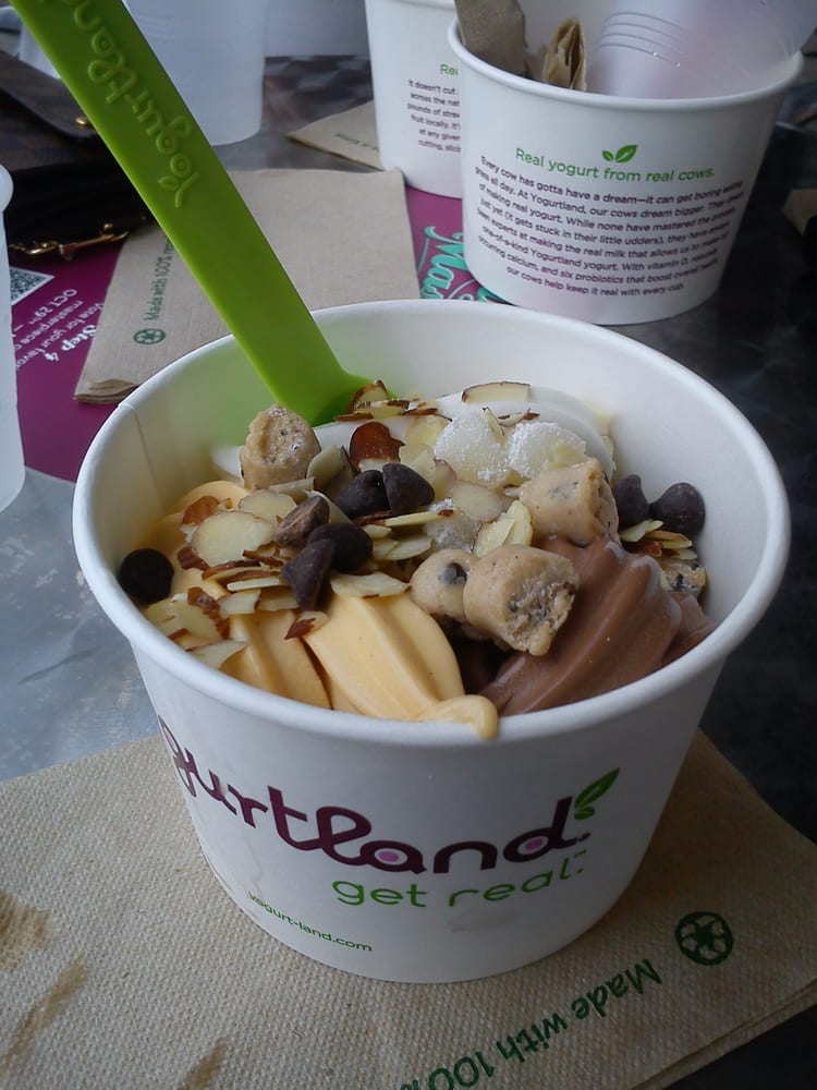 yogurtland houston photo